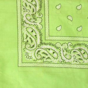 DREAM BANDANA - BULK REGULAR LIME