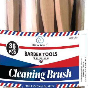 DREAM BRUSH CLEANING 36PC/JR