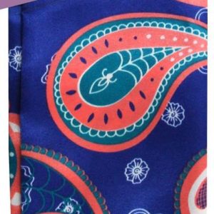 DREAM W-SATIN SILKY SCARF PAISLEY