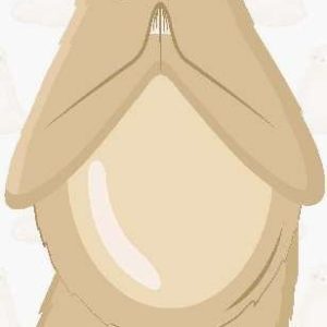 GONESH ZEN INNER SLOTH [TREE TOPS]