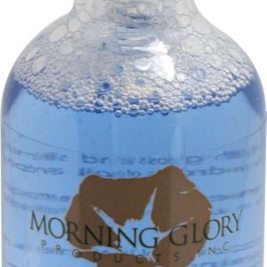 MORNING GLORY RESTORE GLOSSER