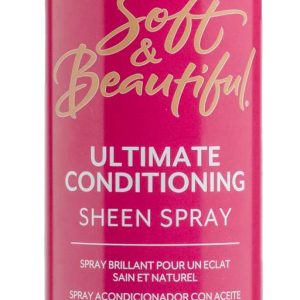 SNB OIL SHEEN SPRAY